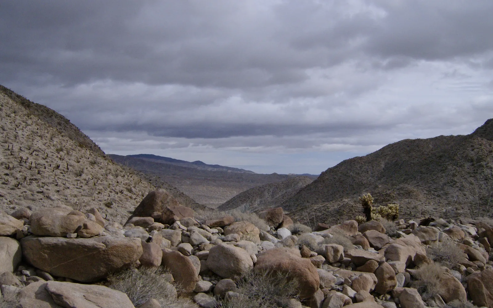 Wide view of the California desert landscape with sparse vegetation and clear sky